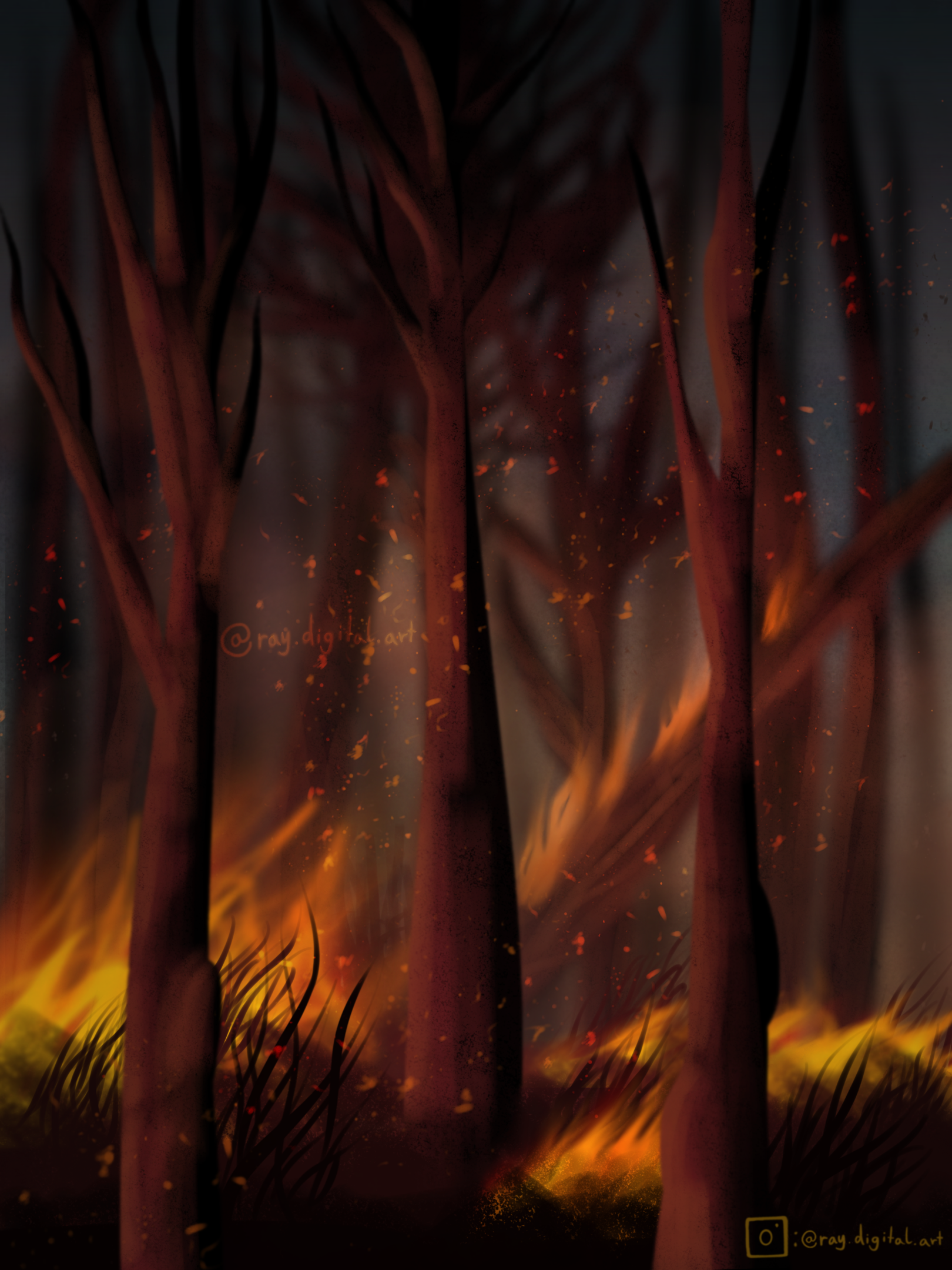 Burning forest illustration